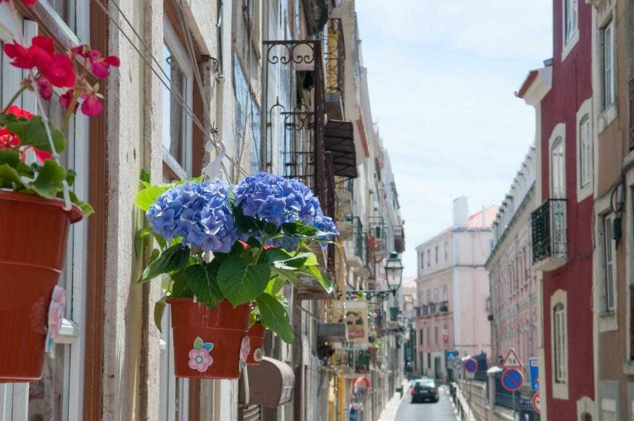 Pretty Views Apartment Lisboa Екстериор снимка